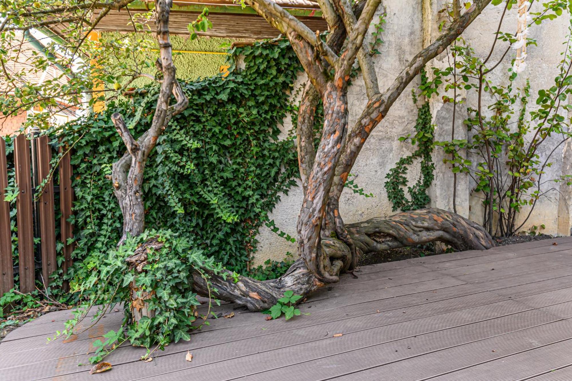 Lagom - Hot Tub Hideout Braşov Dış mekan fotoğraf