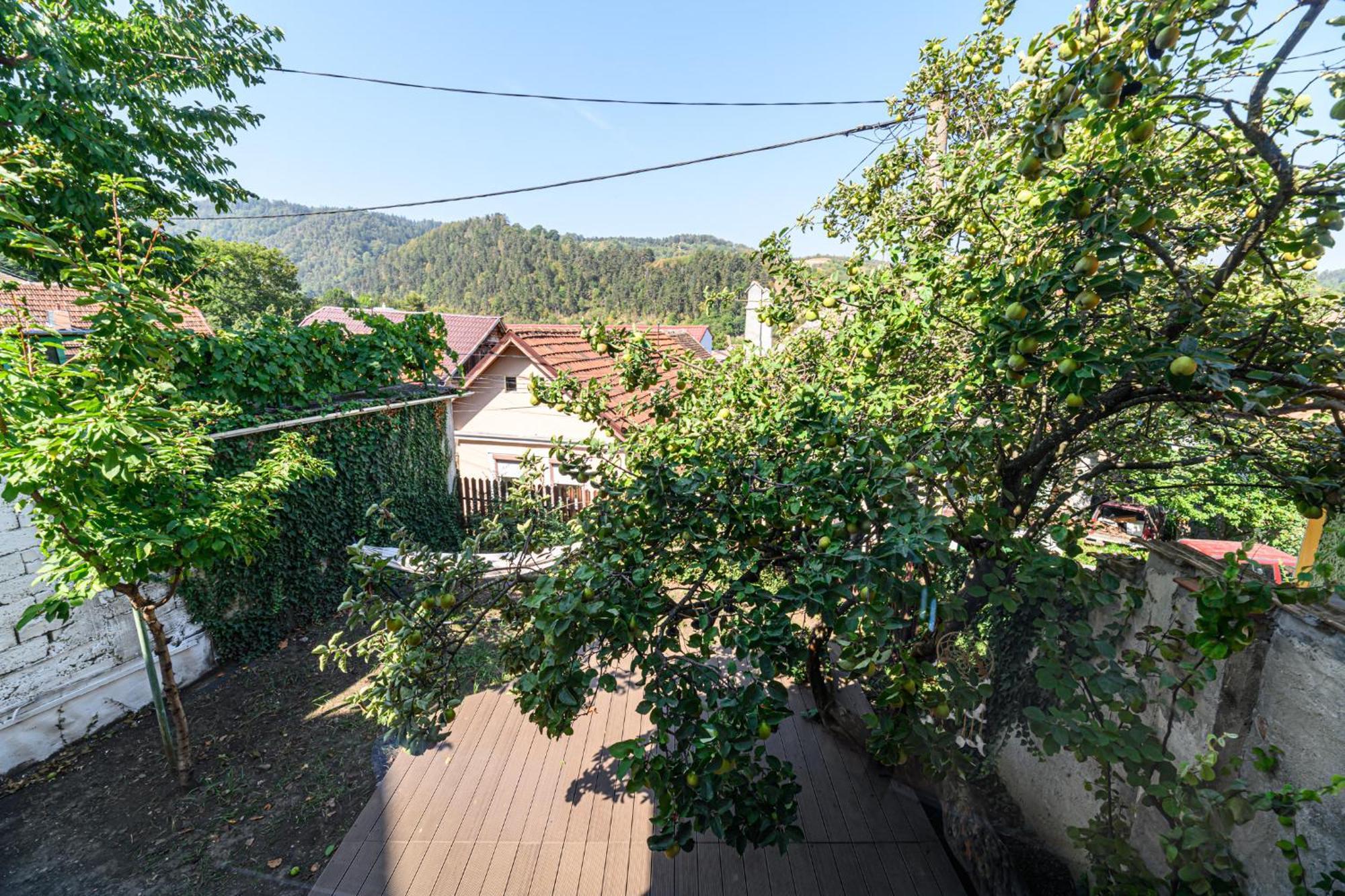 Lagom - Hot Tub Hideout Braşov Dış mekan fotoğraf